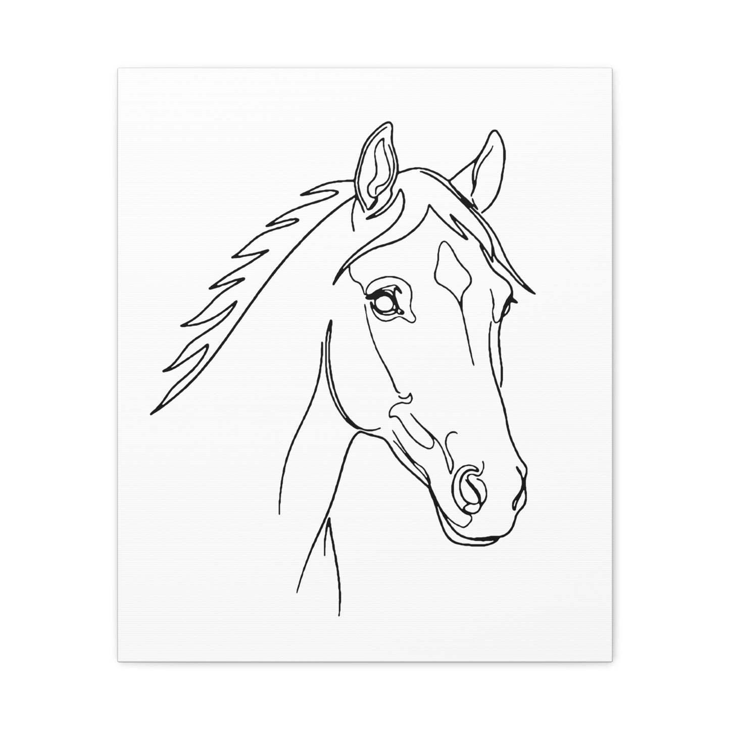 Horse Portrait Sketch - Stretched Canvas