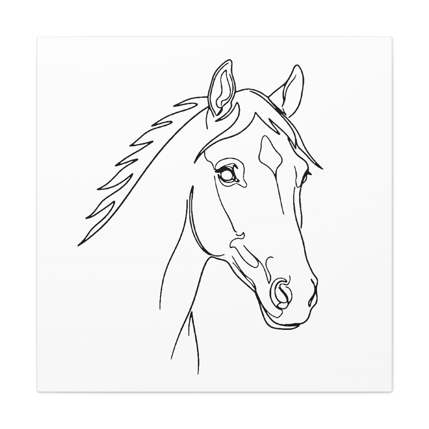Horse Portrait Sketch - Stretched Canvas