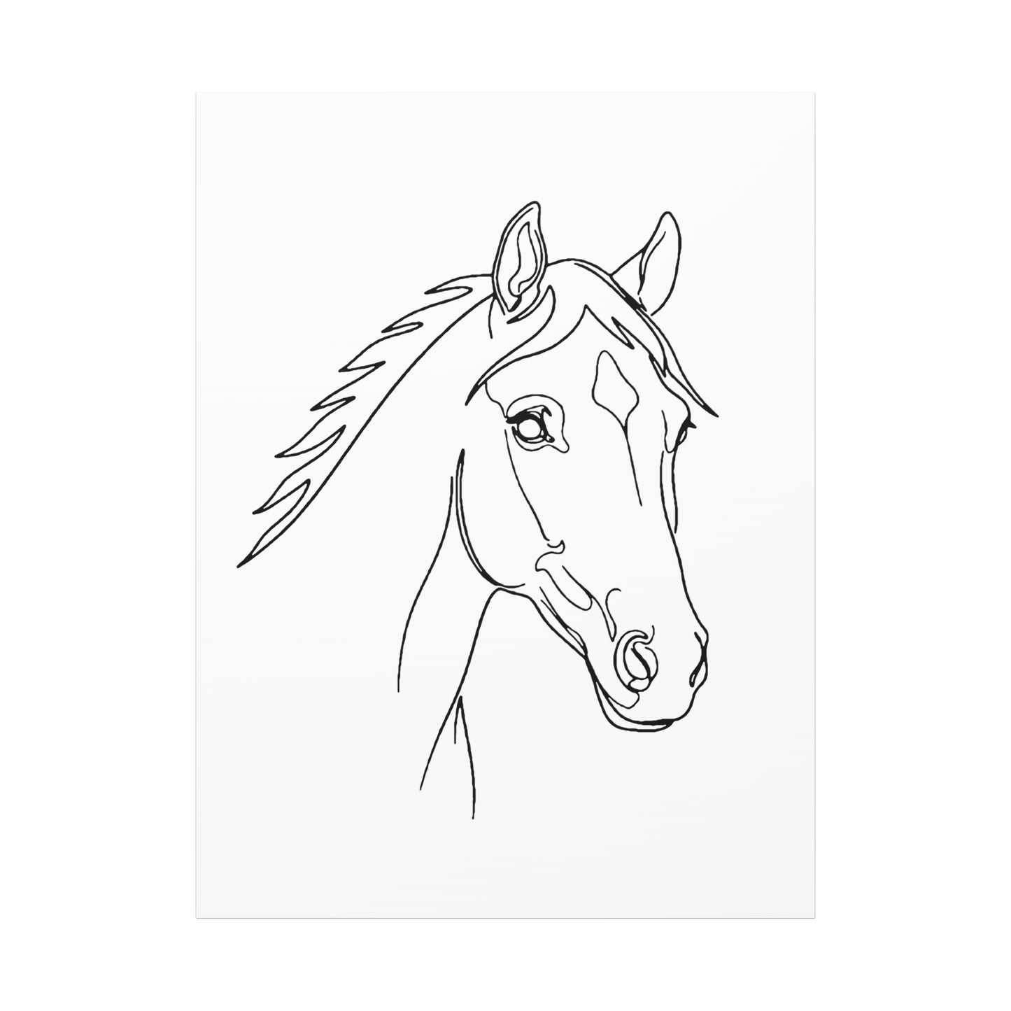 Horse Portrait Sketch - Stretched Canvas