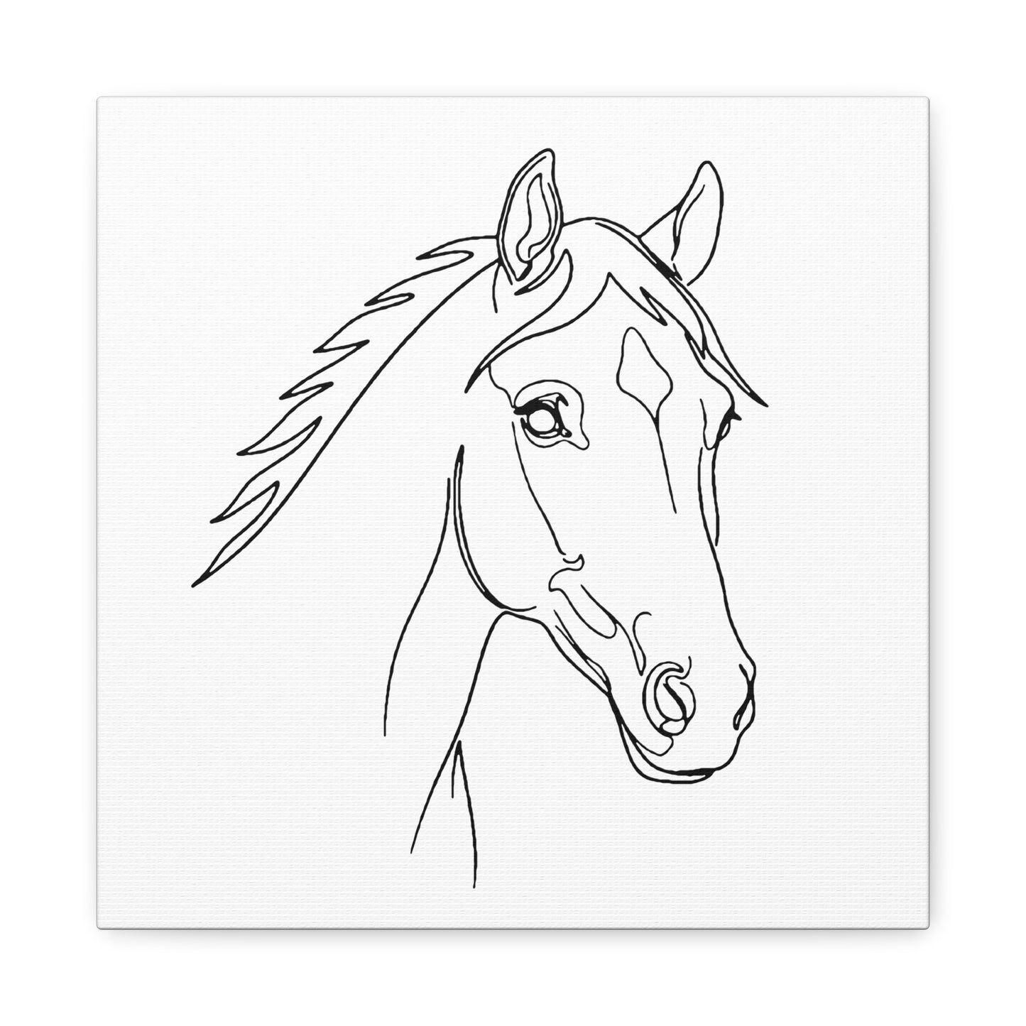 Horse Portrait Sketch - Stretched Canvas