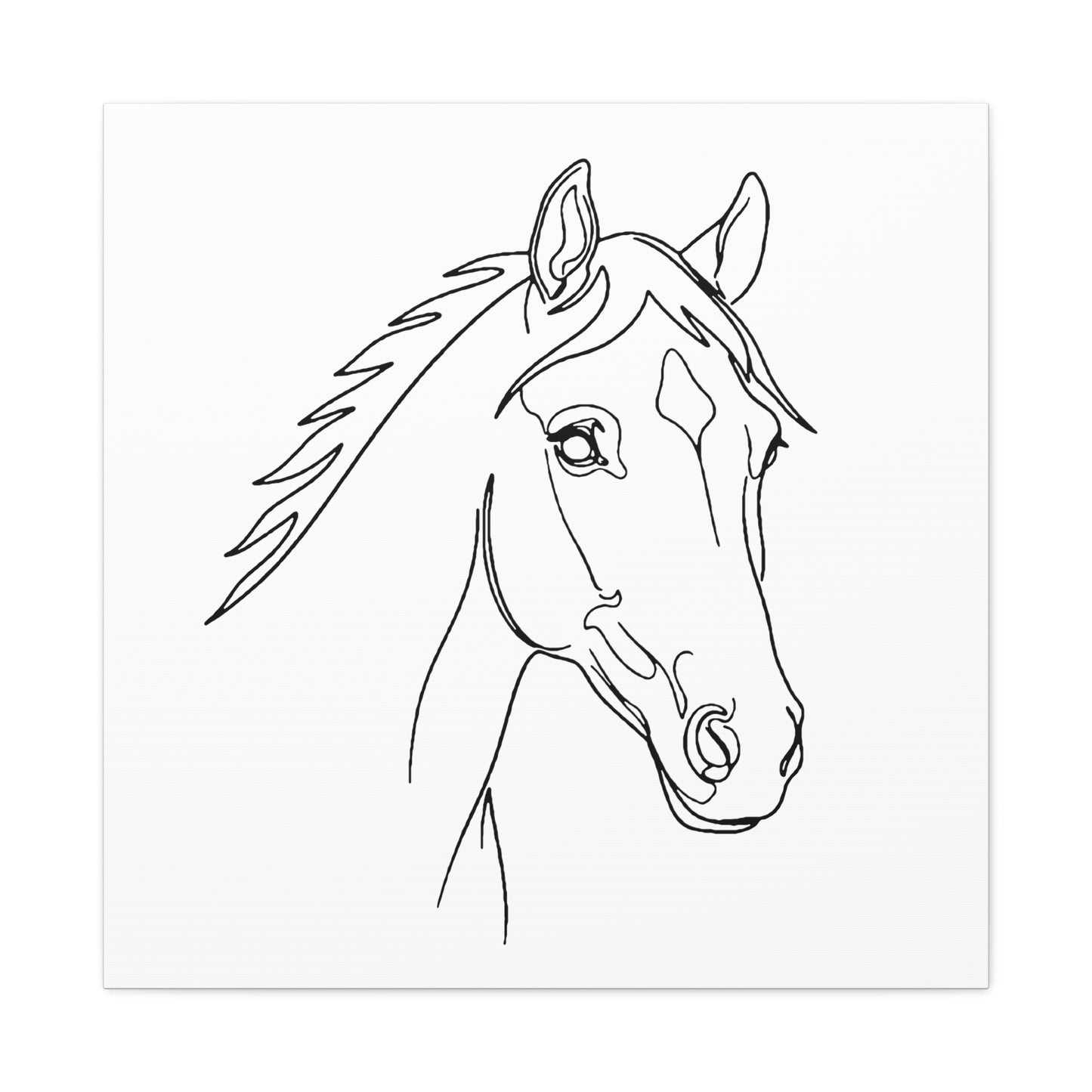 Horse Portrait Sketch - Stretched Canvas