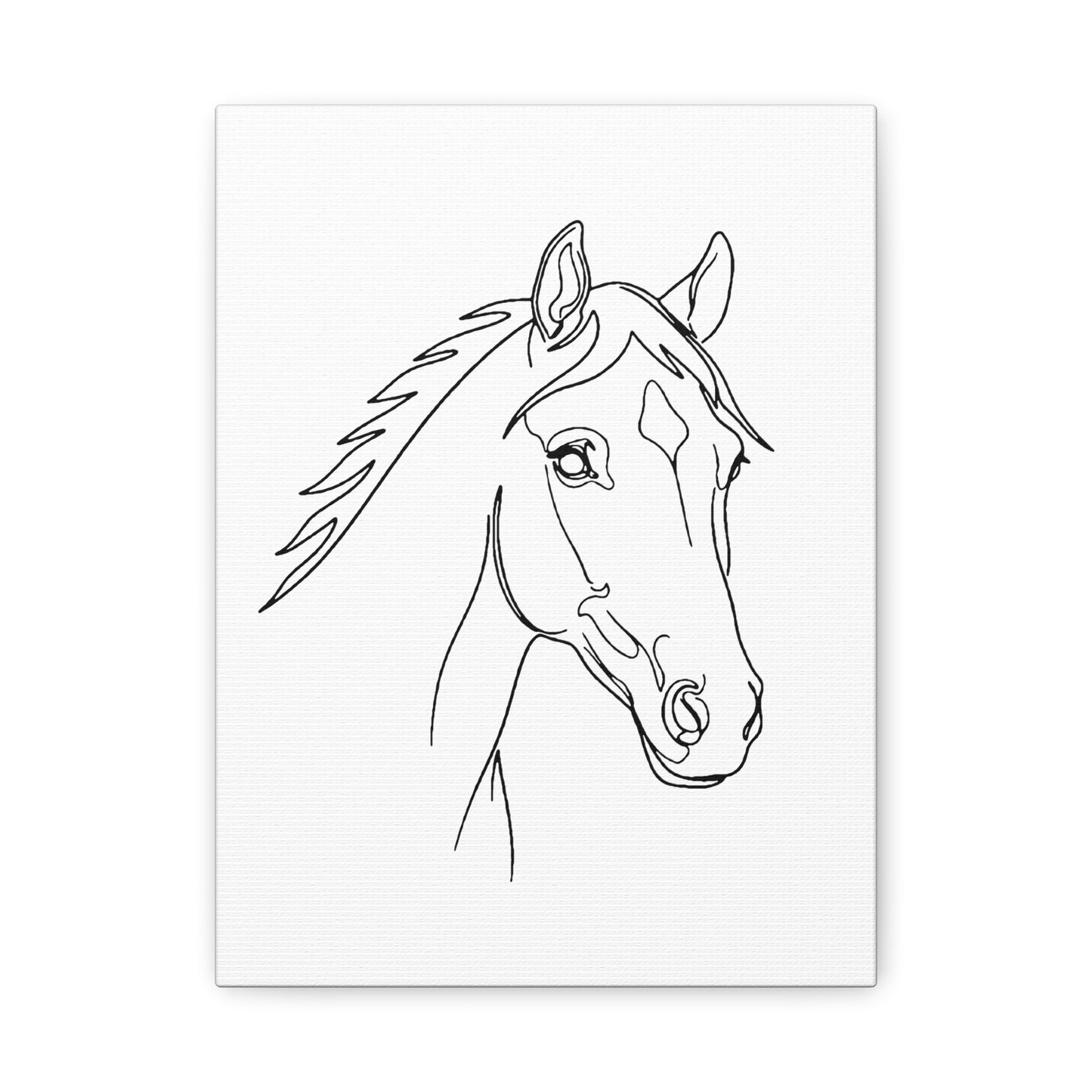 Horse Portrait Sketch - Stretched Canvas