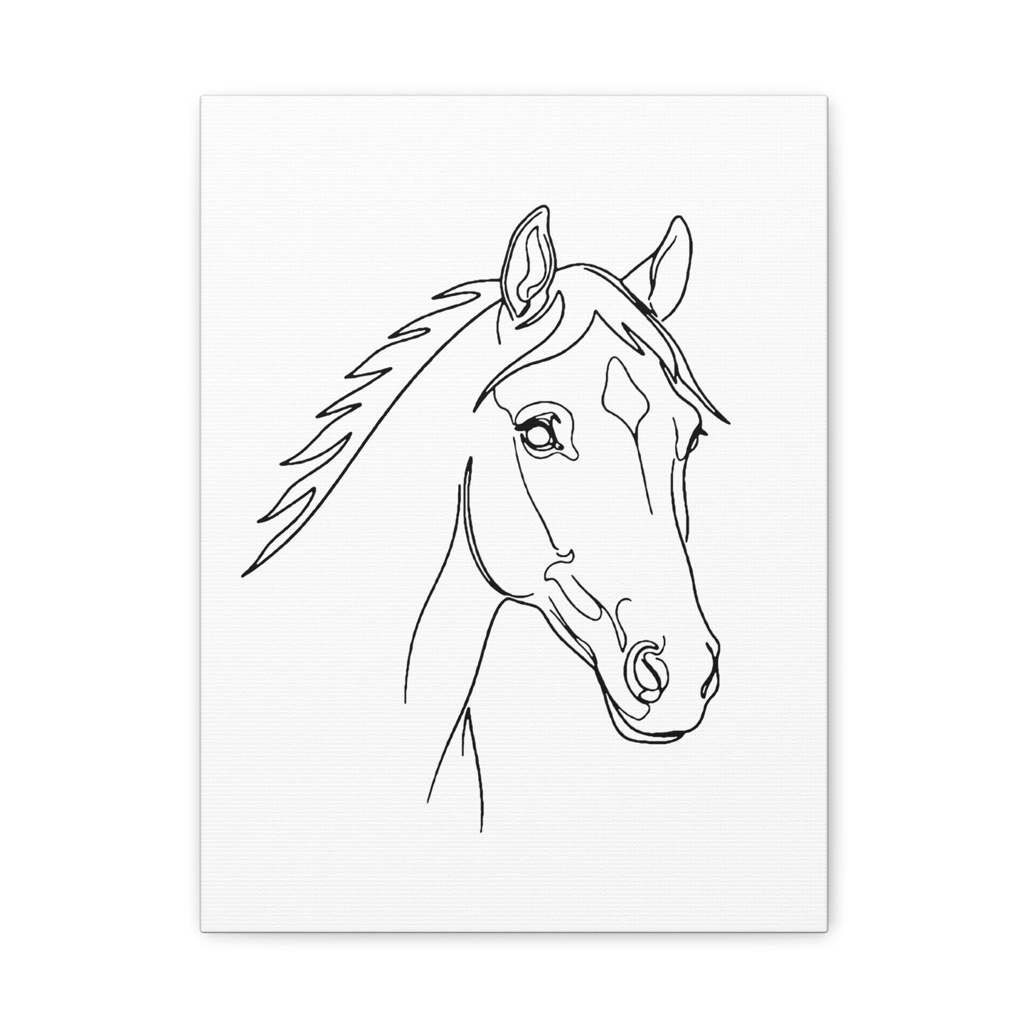 Horse Portrait Sketch - Stretched Canvas