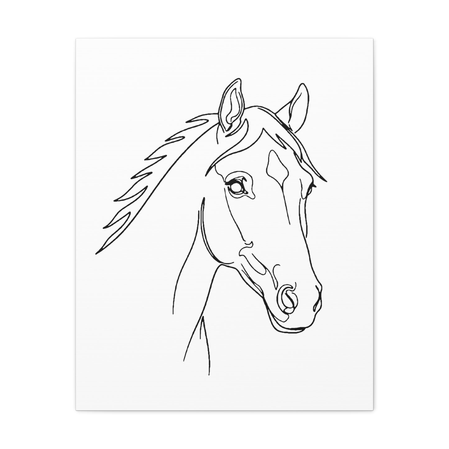 Horse Portrait Sketch - Stretched Canvas