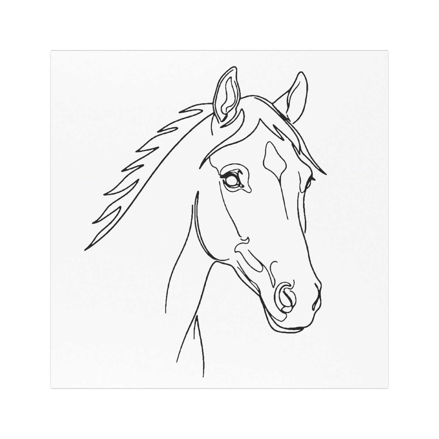 Horse Portrait Sketch - Car Magnet