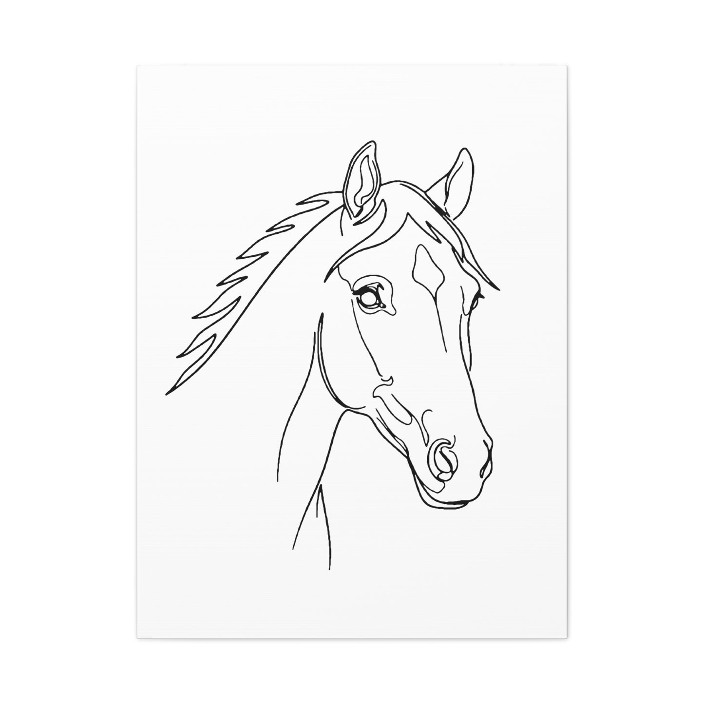 Horse Portrait Sketch - Stretched Canvas