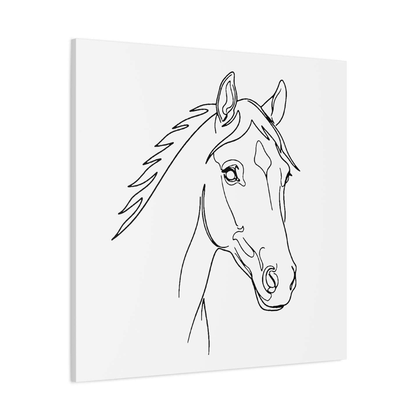 Horse Portrait Sketch - Canvas