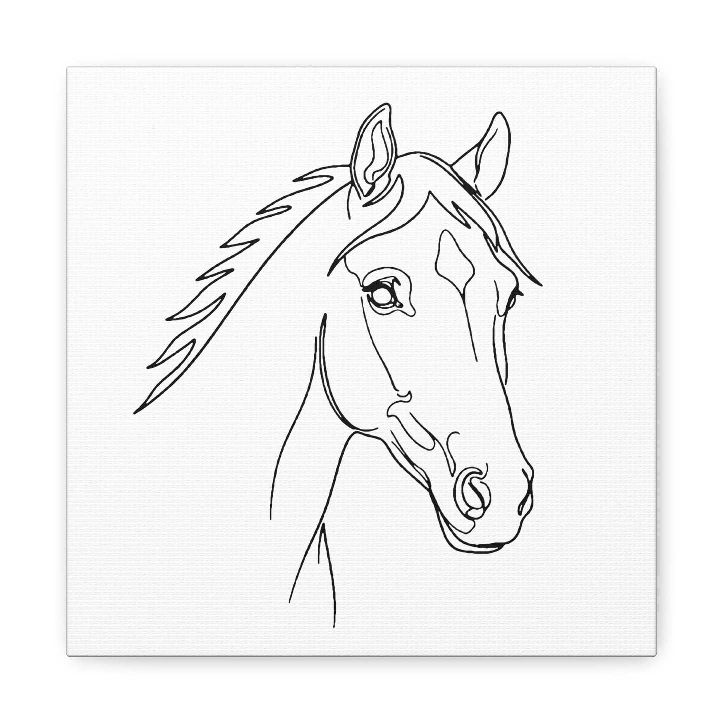 Horse Portrait Sketch - Stretched Canvas