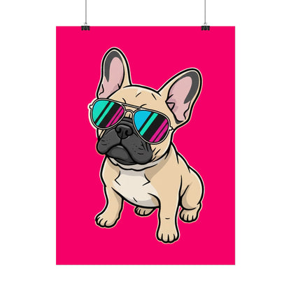 French Bulldog with Sunglasses - Poster