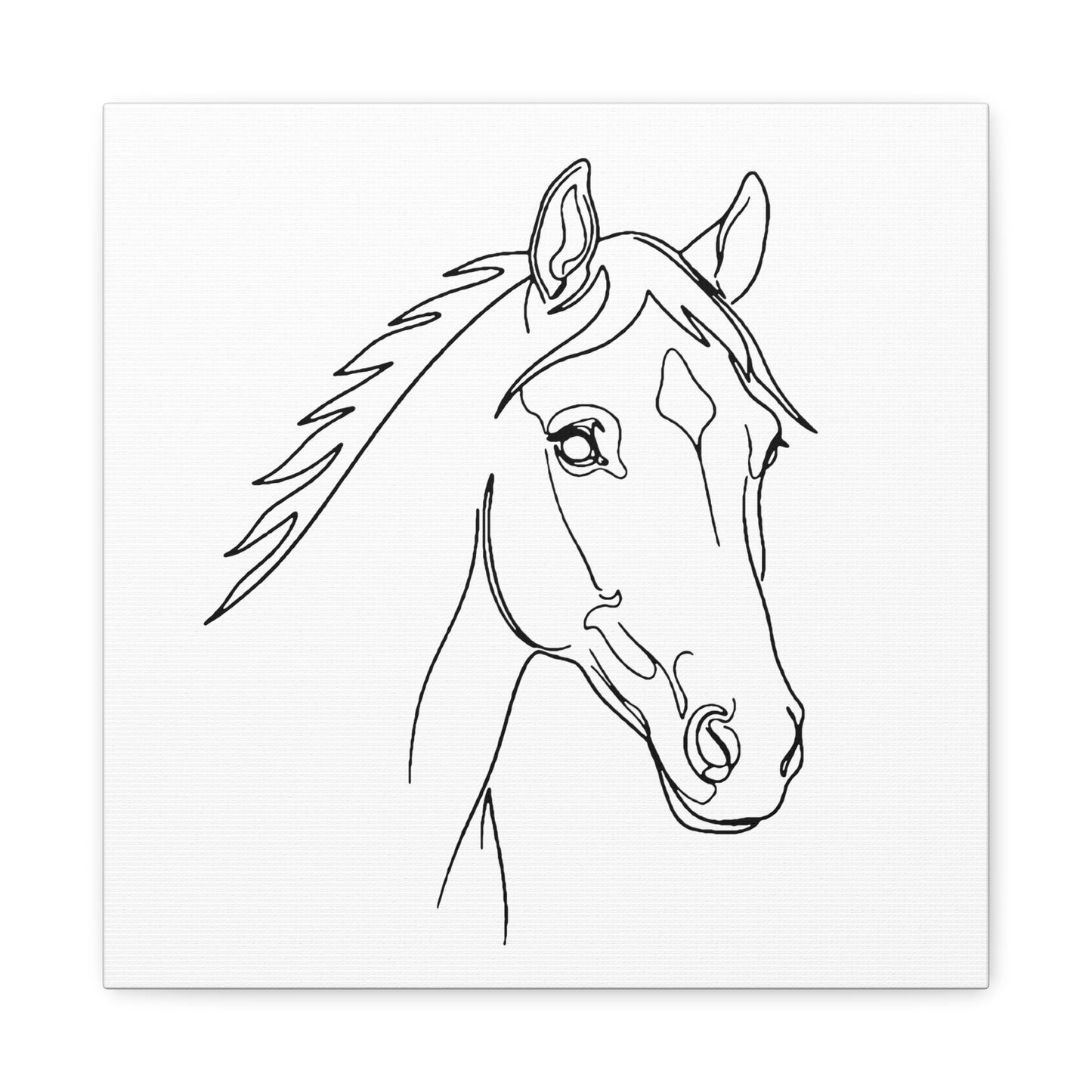 Horse Portrait Sketch - Stretched Canvas